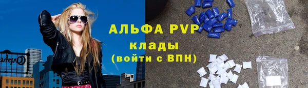 стаф Новодвинск