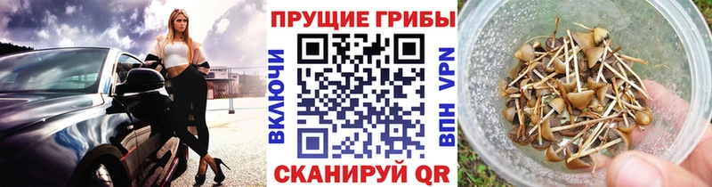 Галлюциногенные грибы мицелий  Лаишево 